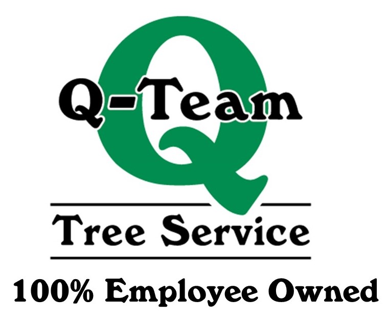 Q-Team Tree Services